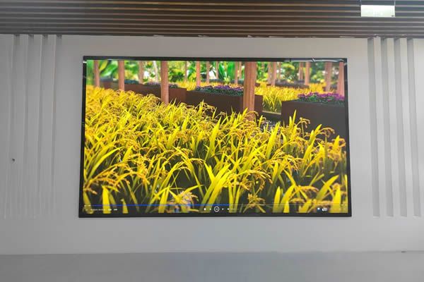 選擇一個好的LED顯示屏廠家需要注意哪些事項(xiàng)